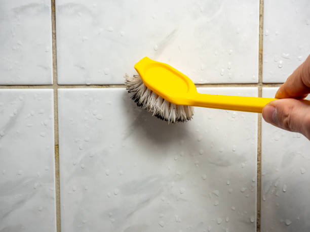Clearfield, PA Mold Removal Company