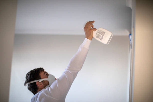 Best Toxic Mold Removal  in Clearfield, PA