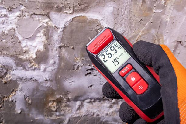 Best Water Damage Restoration  in Clearfield, PA