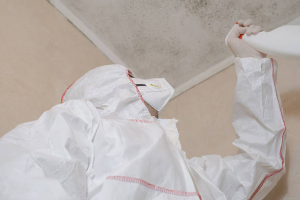 Best Home Mold Removal  in Clearfield, PA