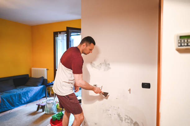 Best Commercial Mold Removal  in Clearfield, PA